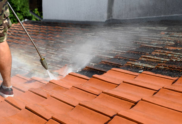 Best Sidewalk Pressure Washing  in Astatula, FL